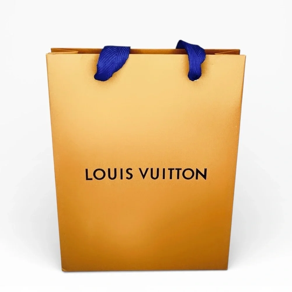 Louis Vuitton Gift Bag
